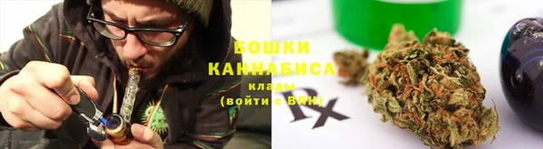 шишки Верея