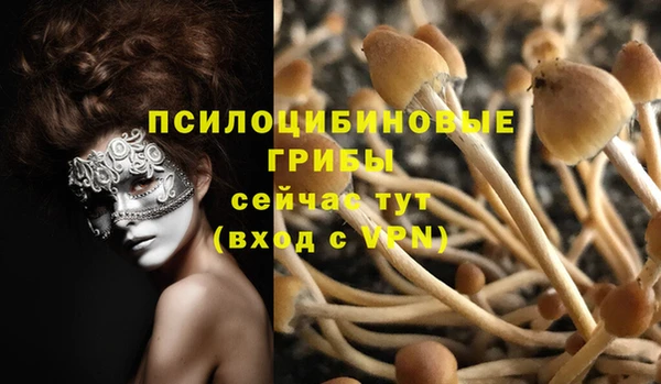 бошки Волоколамск