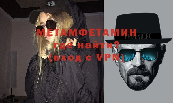 шишки Верея